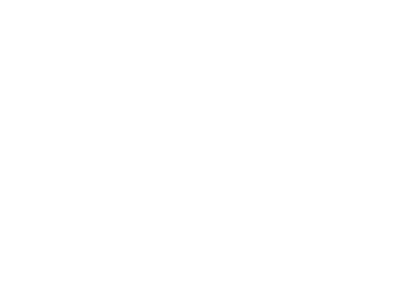 Untitled (800 x 600 px) (1)